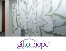 Donor History Product Walls Case Study Gift of Hope