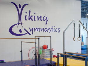 Viking Gym Graphics Wall