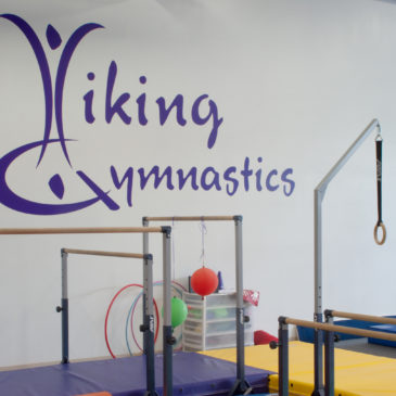 Viking Gymnastics, Graphics Program